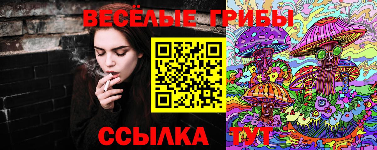 где купить наркотик  Вход с VPN  Карасук  Псилоцибиновые грибы MAGIC MUSHROOMS 